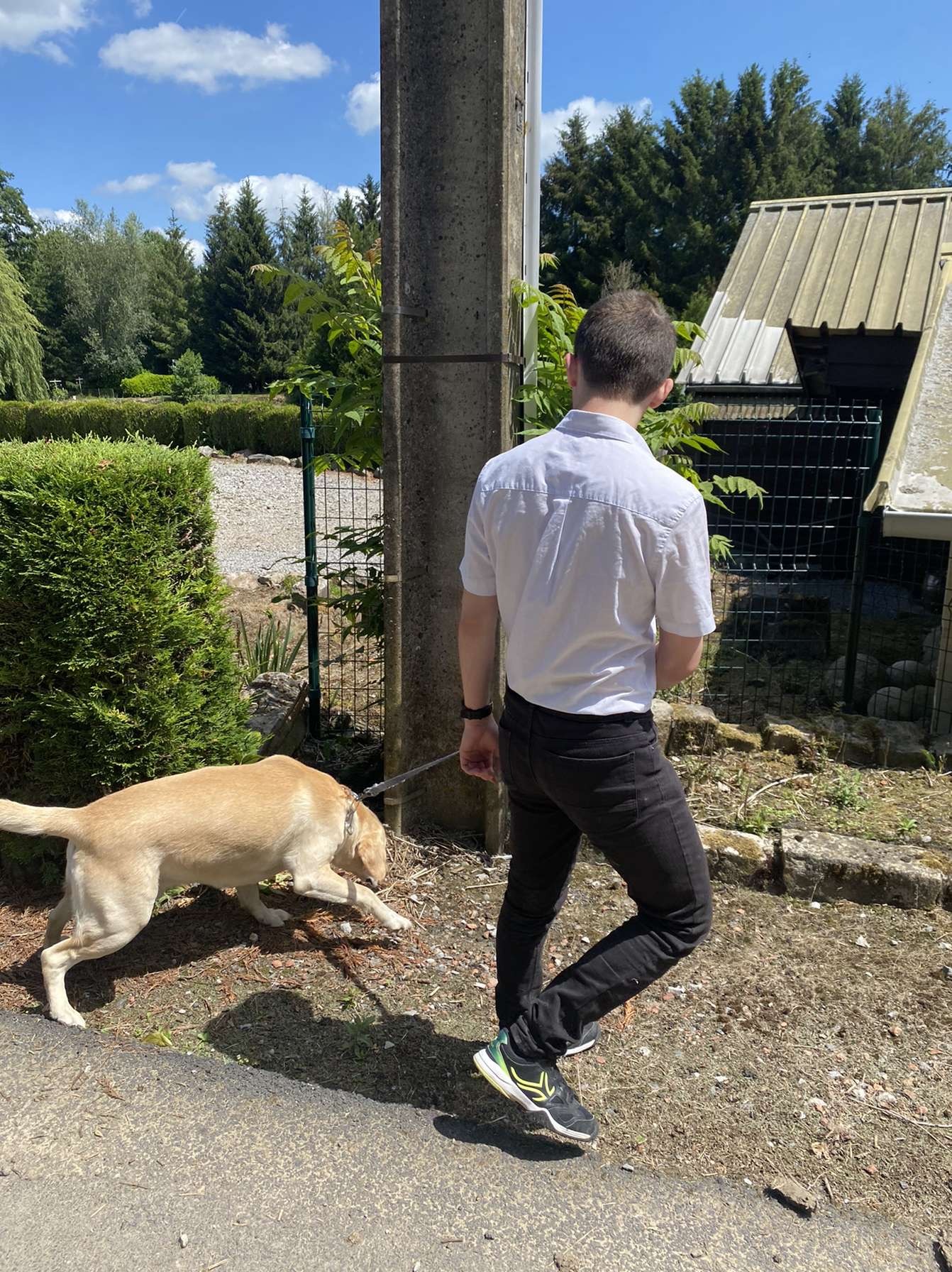 Profil de Clemant, 21 ans, Club Rencontre à Buchs LU
