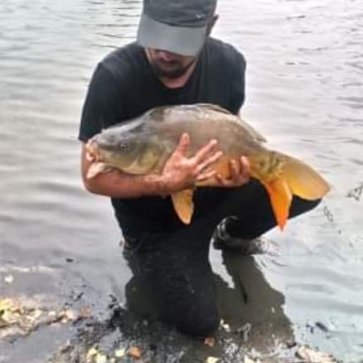 Profil de Amirdine, 38 ans, Club Rencontre à Arnex-sur-Nyon